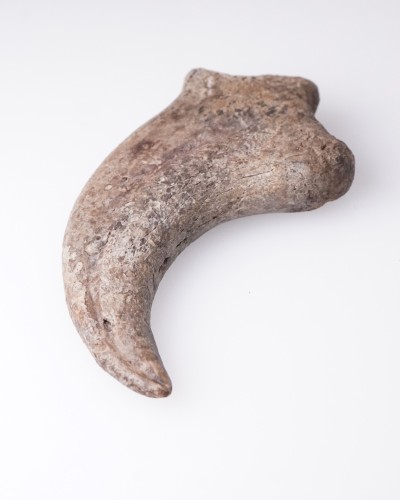 Anzu wyliei Claw Hell Creek FMT - dinosaur for sale