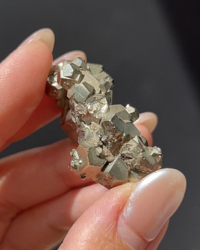 Pyrite - Elba Island - Italy