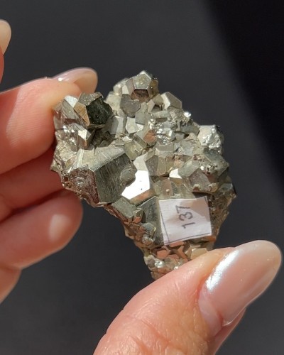 Pyrite - Elba Island - Italy