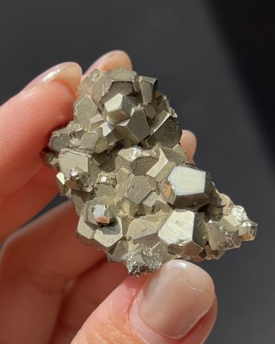 Pyrite - Elba Island - Italy
