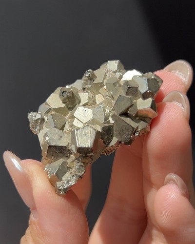 Pyrite - Elba Island - Italy