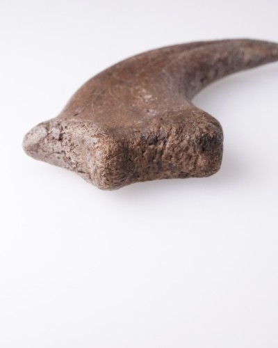 Anzu wyliei Claw Hell Creek FMT - dinosaur for sale