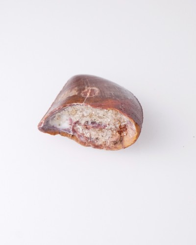 恐竜化石の歯 - カルカロドントサウルス - 販売