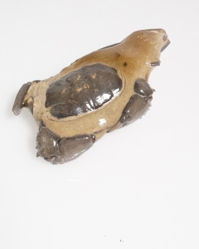 Fossil Crab from Thailand - Galene obscura - Pleistocene