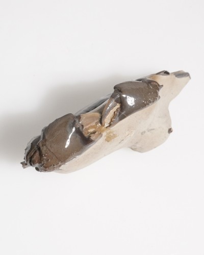 Fossil Crab from Thailand - Galene obscura - Pleistocene