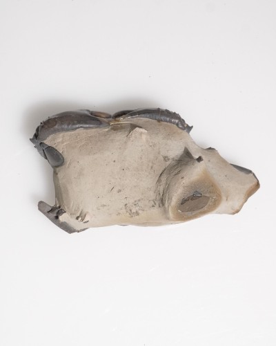 Fossil Crab from Thailand - Galene obscura - Pleistocene