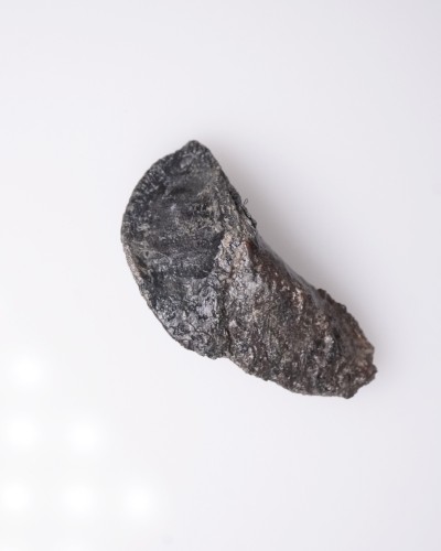 Triceratops - Cretacico - Lance Creek FMT