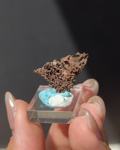 Copper Native - Australia